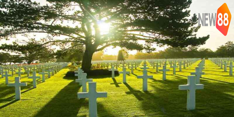 Giấc mộng liên quan nhiều bộ số